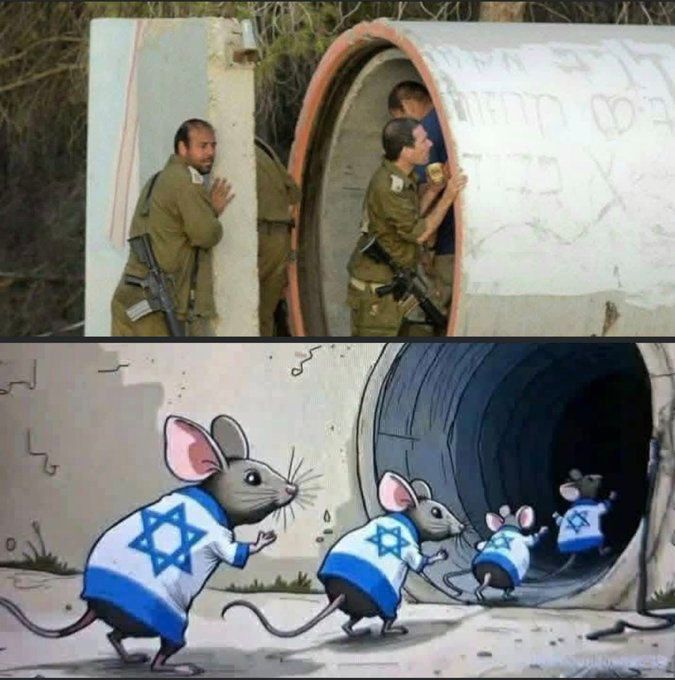 mohammadpkz0's tweet photo. ראה מי מדבר על להתחבא
עד לא מזמן הייתם אומרים שהמנהיג בסוד
אחר כך אמרתם שהוא לא באיראן, ברח.
ועכשיו אתם ממשיכים ואומרים ככה
אתם מתחילים להילחץ עכשיו כי אתם יודעים שיהיו הרבה איראנים בהלוויה
#איראן
#Iran
@IsraelPersian 
  @netanyahu 
@Israel_katz 
@IranIntlbrk https://t.co/CHurZwfnX2
