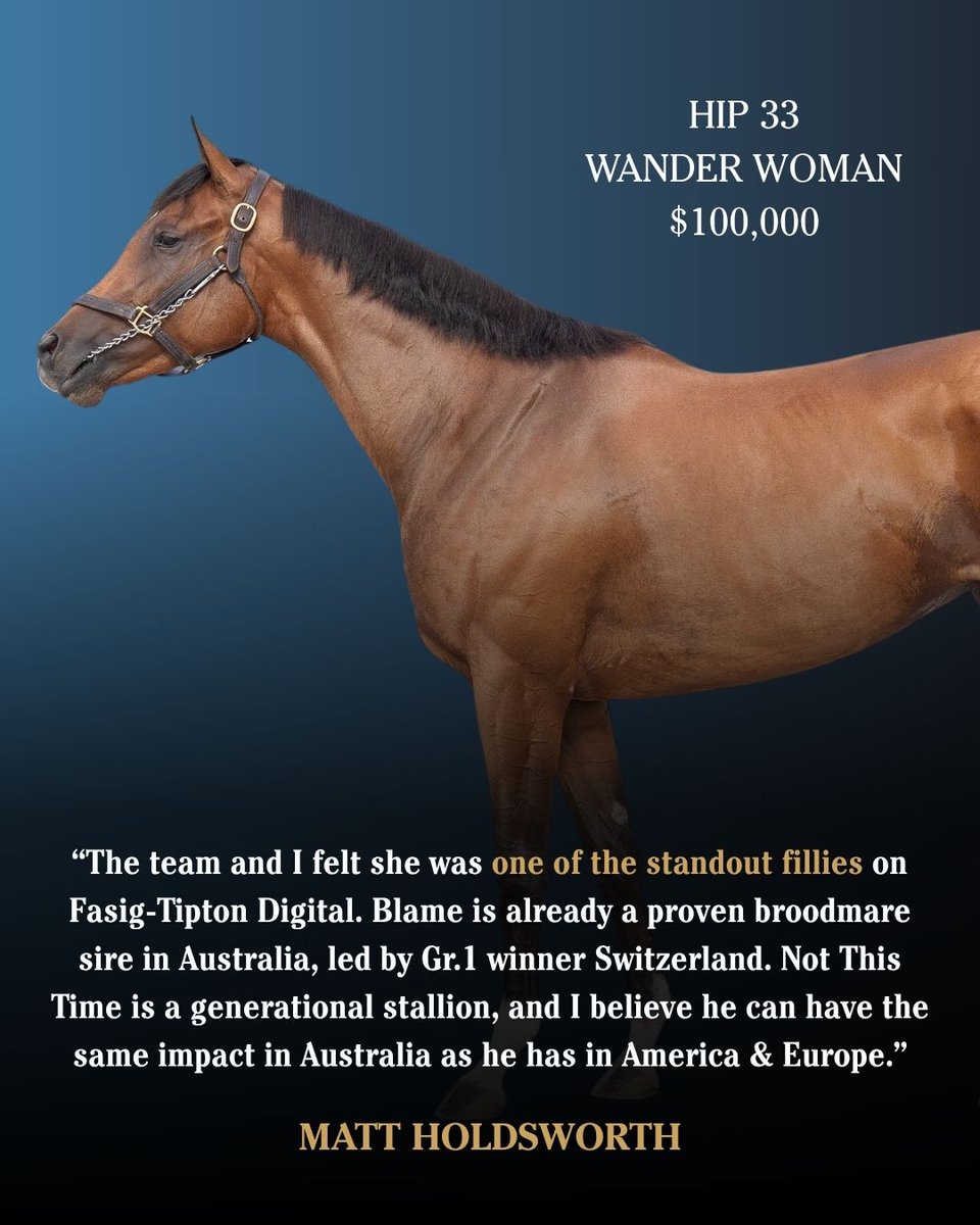 FasigTiptonCo's tweet photo. Matt Holdsworth purchased Wander Woman for $100,000 from @TaylorMadeSales on behalf of Australian interests on #FasigDigital. https://t.co/2ksxunAspS