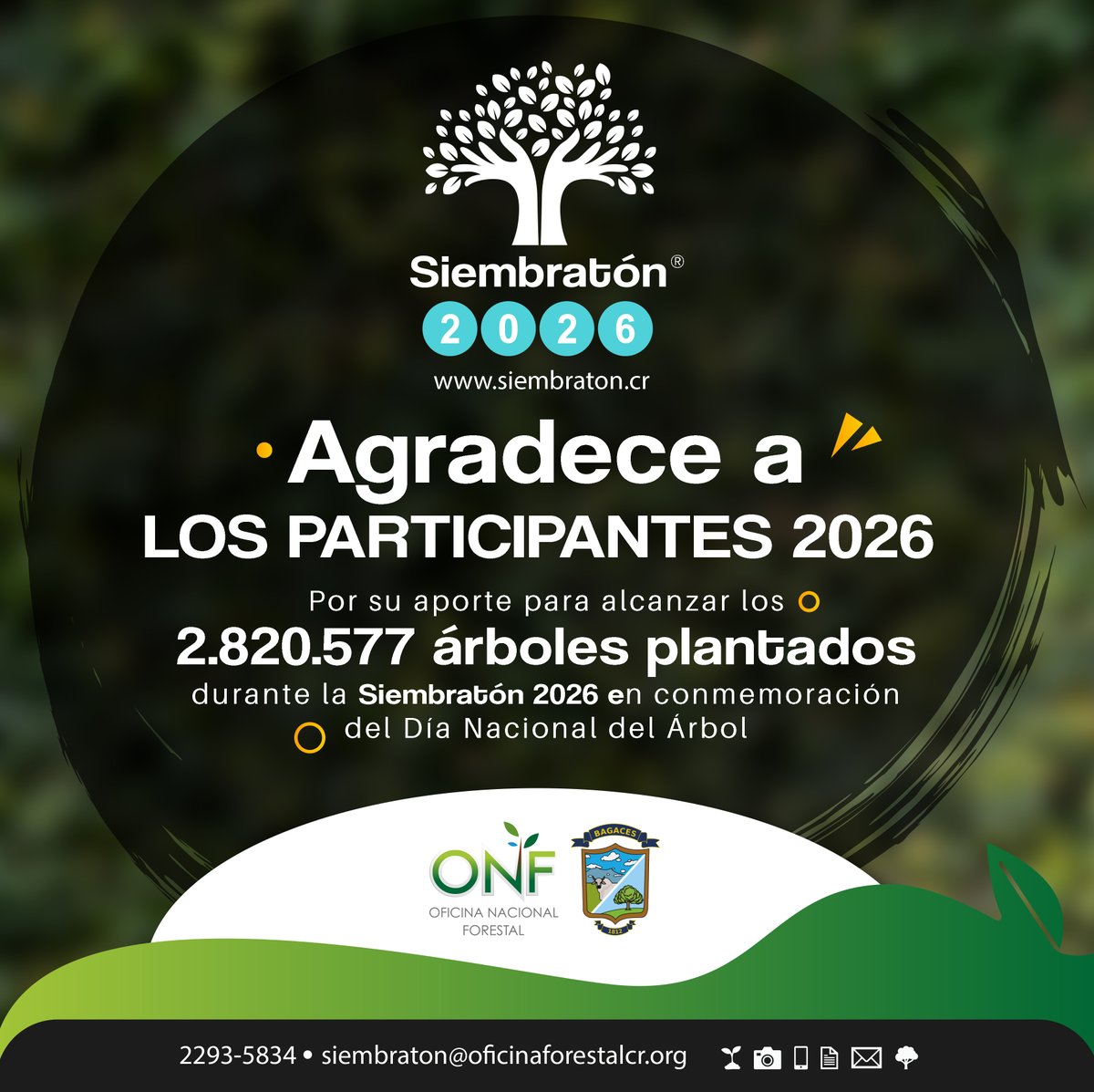 onf_cr's tweet photo. ¡𝐆𝐑𝐀𝐂𝐈𝐀𝐒! a todas las personas, empresas, organizaciones e instituciones que se sumaron a la Siembratón 2026. 

En el siguiente enlace podrán encontrar el listado de los certificados emitidos en la edición Siembratón 2026:

▶️ https://t.co/eMNSGlsUTo https://t.co/x9OWc4YxbO