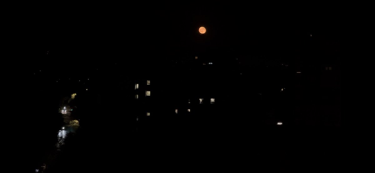 luzielima's tweet photo. A Lua continua linda... e impossível de passar despercebida. 🫶✨🌖💫♥️
#LuaDeMorango #LunaDeFresa https://t.co/kTuixY869o