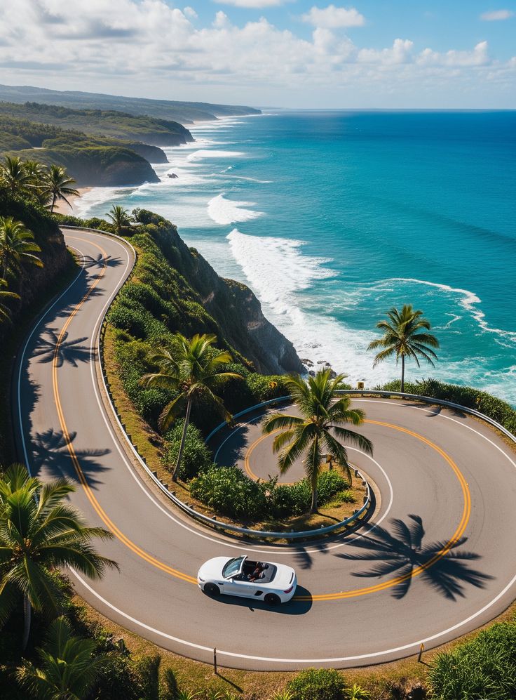 NaturalEye78321's tweet photo. 📍 Hana Highway, USA 🇺🇸 https://t.co/eeLqt5LphQ