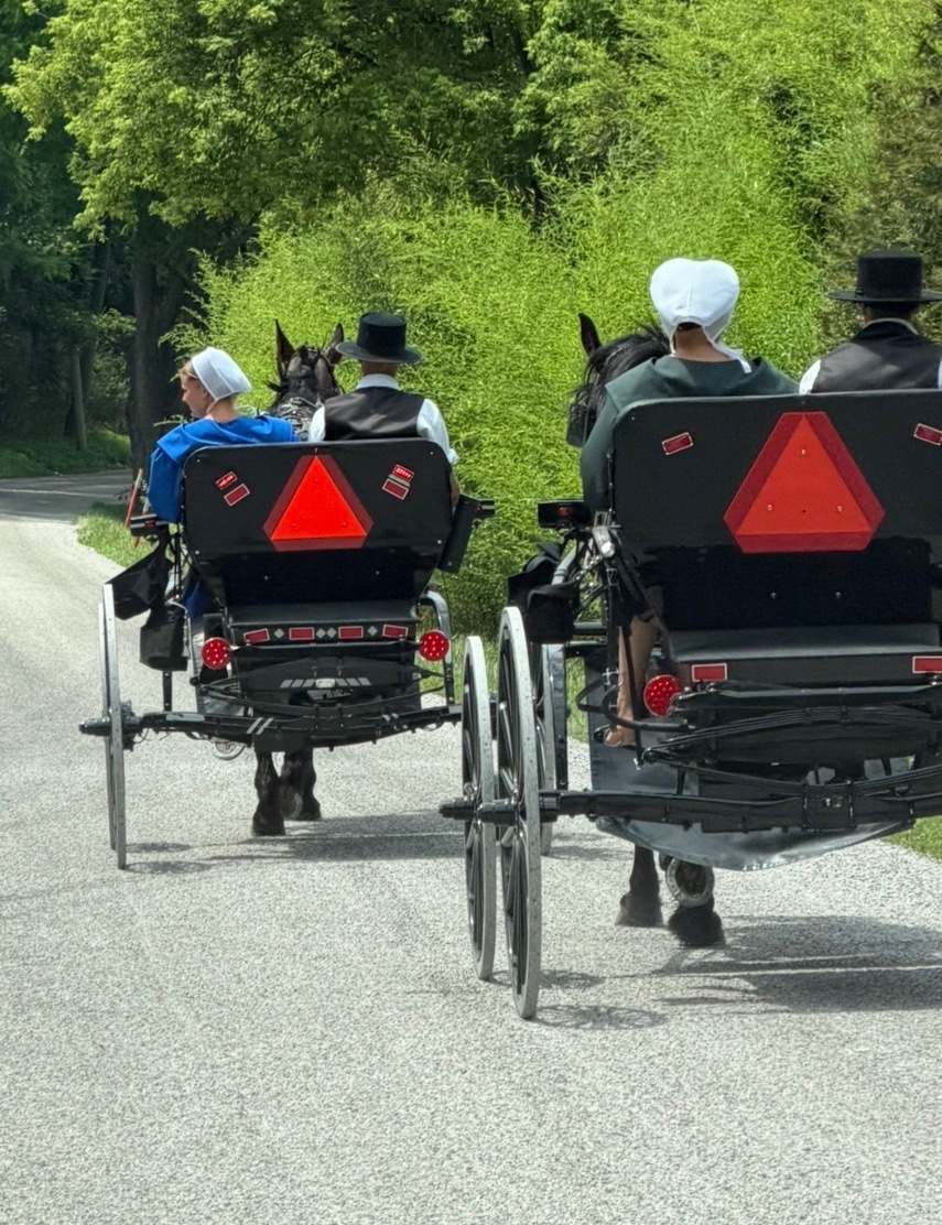 4TrumpAmerica's tweet photo. @catturd2 My neighborhood, I’m surrounded 🤣 https://t.co/1e8bgAcYN5