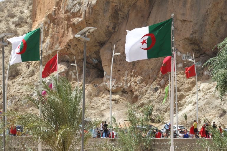 AlgeriaGatePlus's tweet photo. ⛔هل تؤيد طرد المغاربة🇲🇦 المقيمين بطريقة غير، شرعية من الجزائر🇩🇿 ؟ 
#الجزائر #المغرب https://t.co/PvvBjn4OmQ