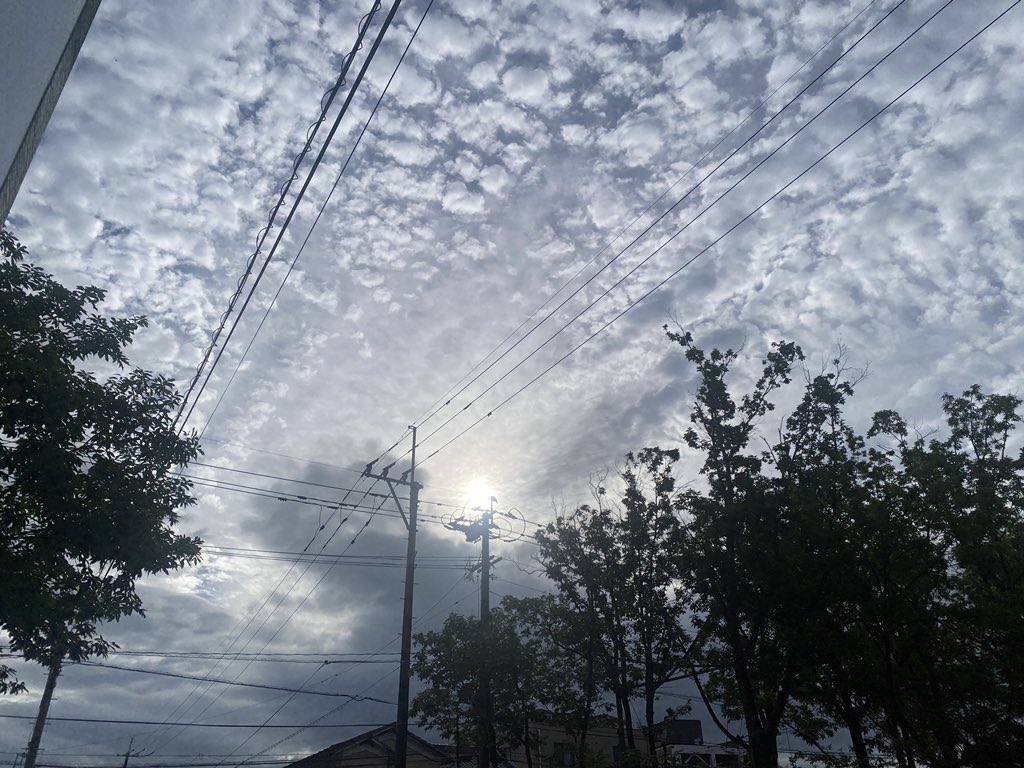 ryosuke_coron's tweet photo. 大分市内は日差しが出てきました⛅️
一安心ですね https://t.co/mGYyZ0dEZk