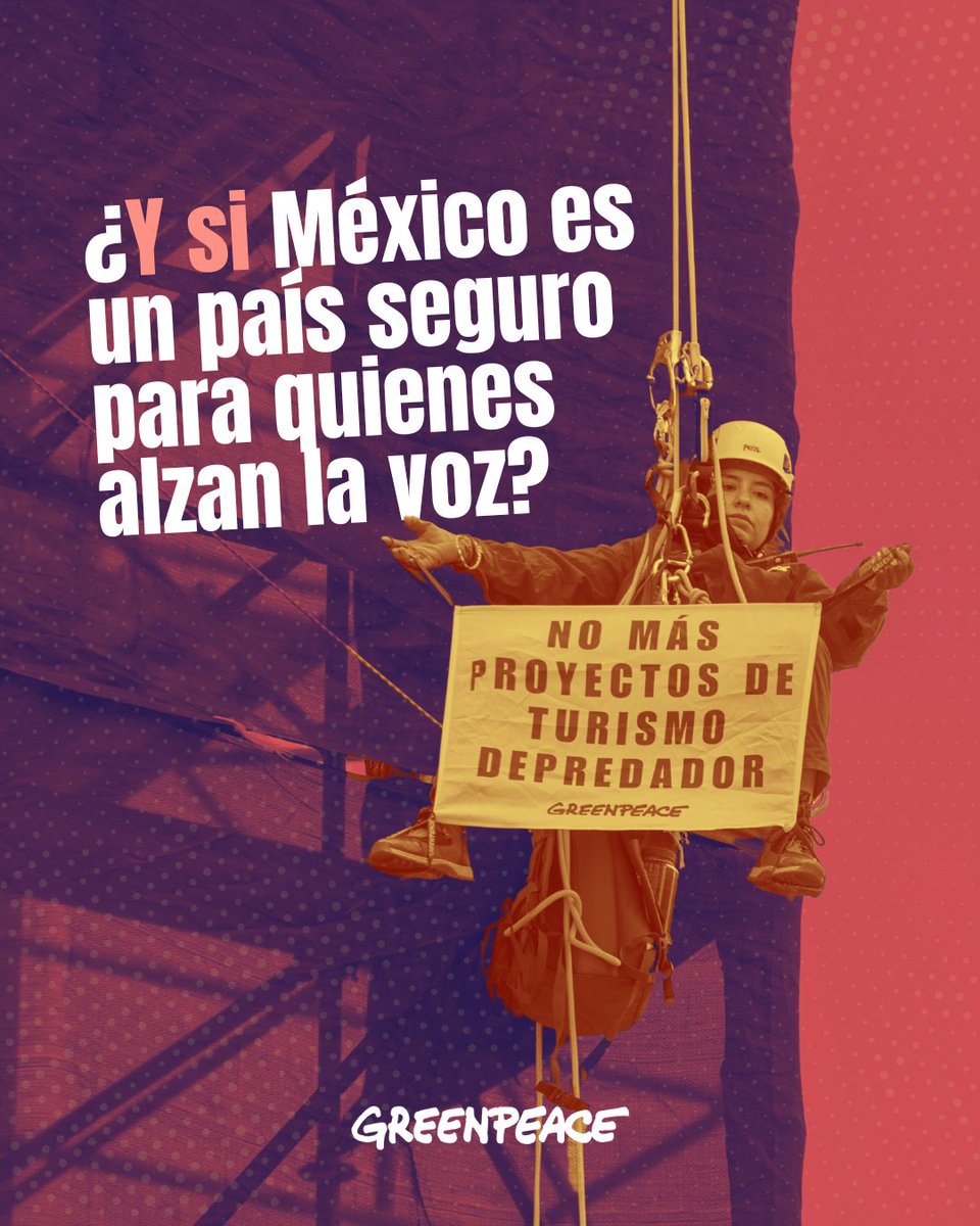 greenpeacemx's tweet photo. ¿Y si se dejan de lado las ganancias de empresas e industrias que destruyen el planeta? ❌

La lucha ambiental en México es difícil, pero no guardaremos silencio mientras destruyen la Selva Maya para hacer dinero. 💪 https://t.co/jUreaRP07I