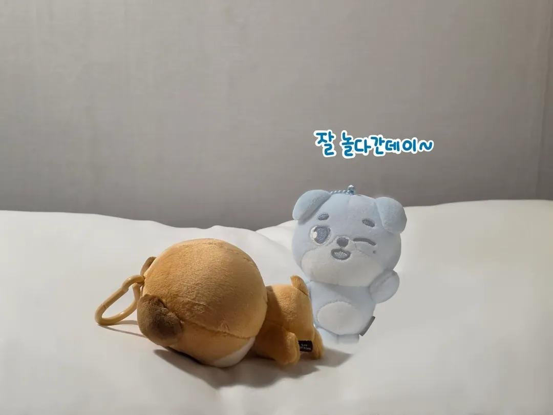briwoonfan's tweet photo. this don reminds me of this dowoon lmao https://t.co/Vml0Tkf5L2