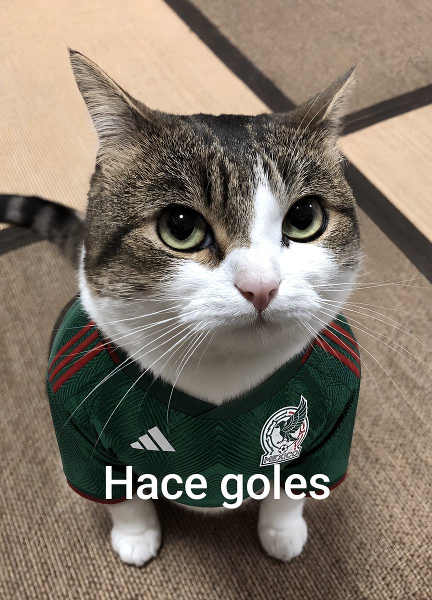 JdXzen's tweet photo. @JVindahouse Si es cómo las 3ds mejor nadota https://t.co/8MvdQ456OX