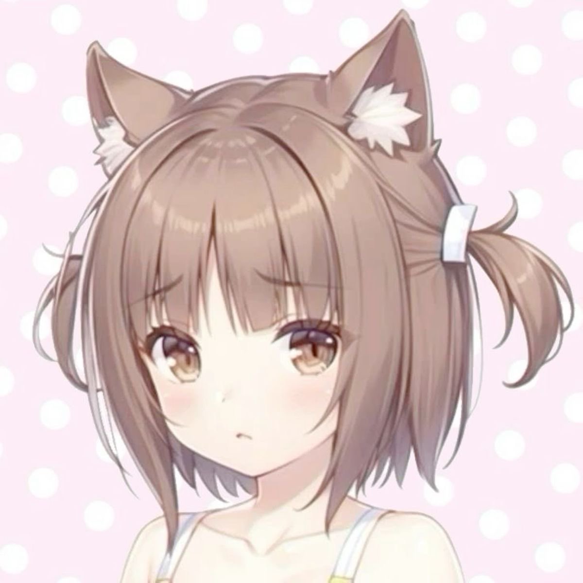 d0lj_'s tweet photo. ⋆˚🐾˖° https://t.co/OMKUqPdb2j