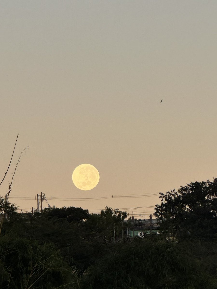 danaik_simoes's tweet photo. @UmFilosofoCitou A lua 🌑 https://t.co/z2FdTrRy5n