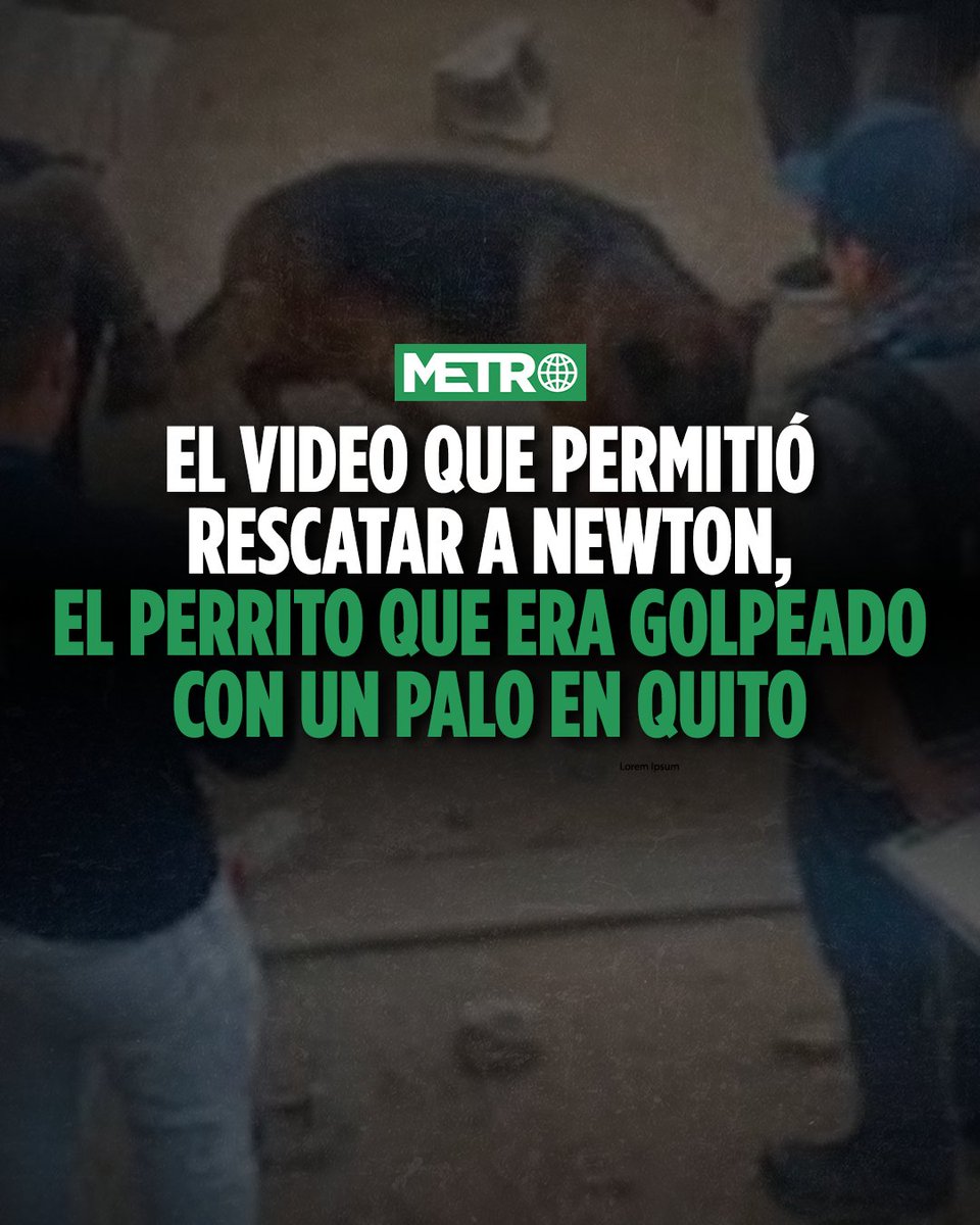 MetroEcuador's tweet photo. Ya está recuperado y busca un hogar: https://t.co/2PCjTkE4k2 https://t.co/vwgvmvsv1U