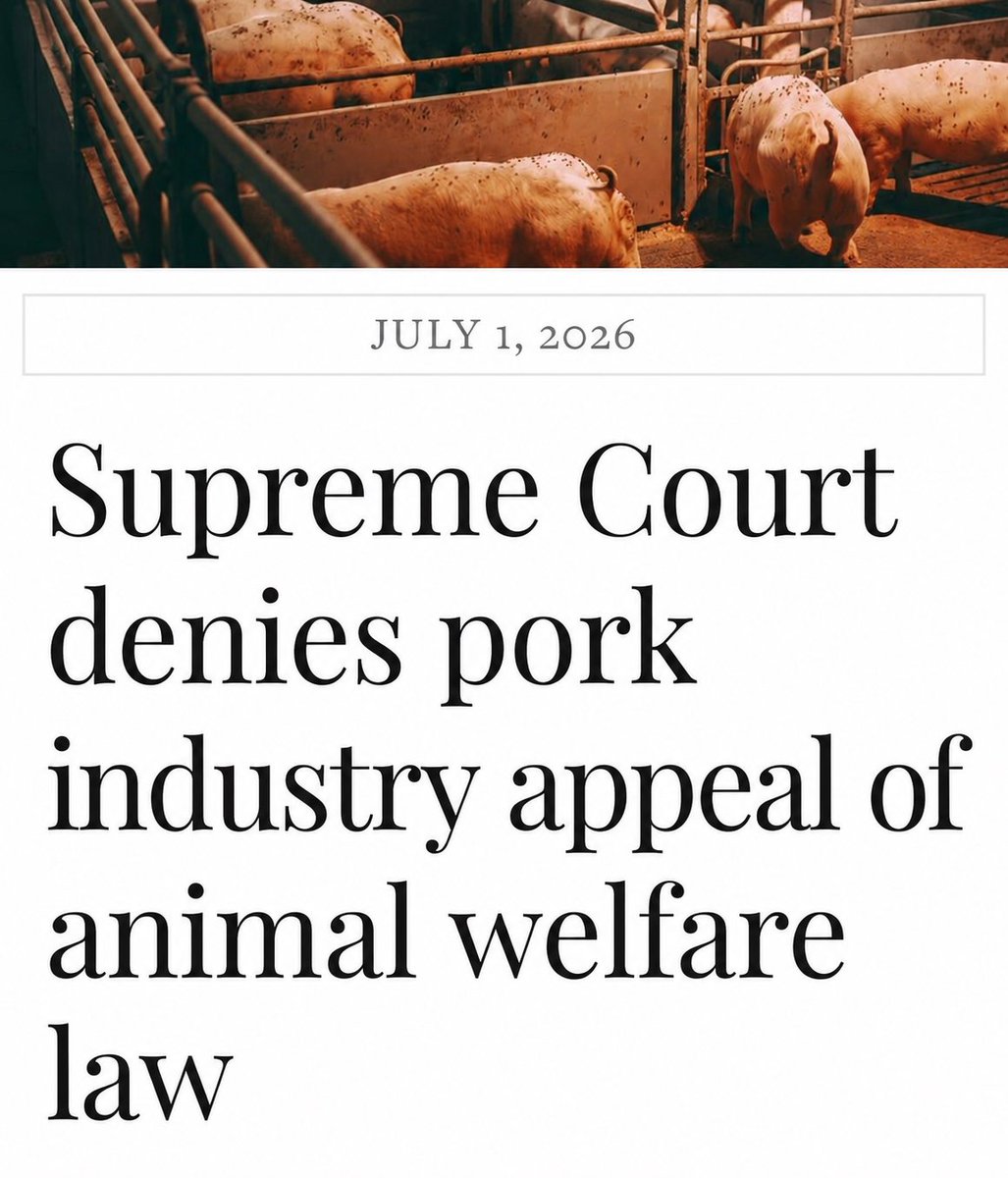 PaulHShapiro's tweet photo. The Supreme Court, yet again, refuses to hear a challenge to basic state laws protecting farmed animals.

States have the right to set basic standards for products sold within their borders, including standards that reduce animal cruelty. https://t.co/P5M4zDfieK