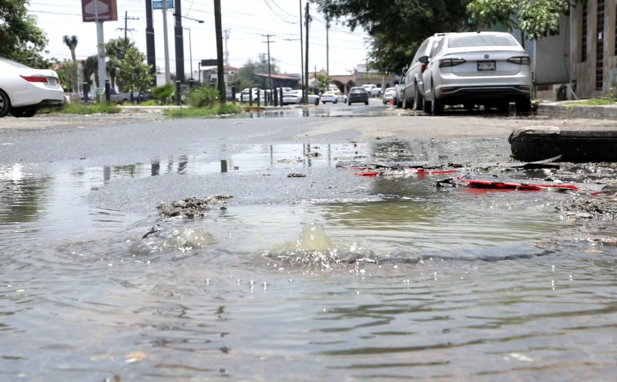reportecoco tweet picture