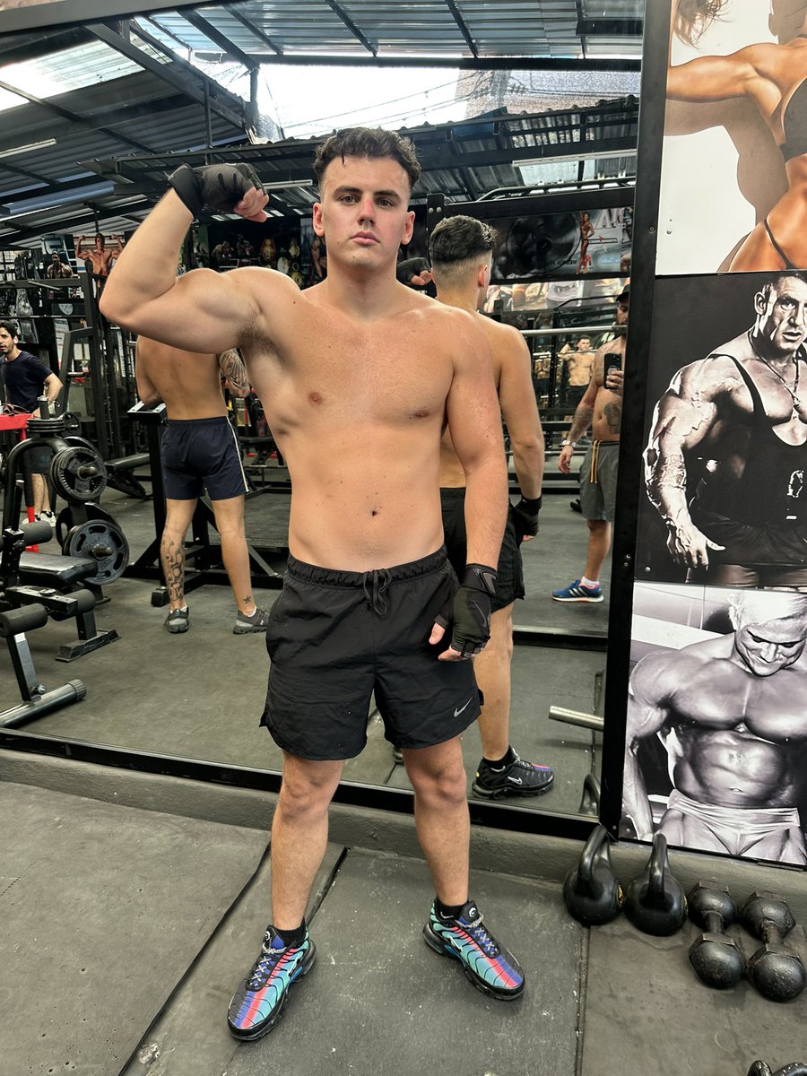 alfiealpha0's tweet photo. Would you be my punching bag? https://t.co/oAZ4CAI7WG