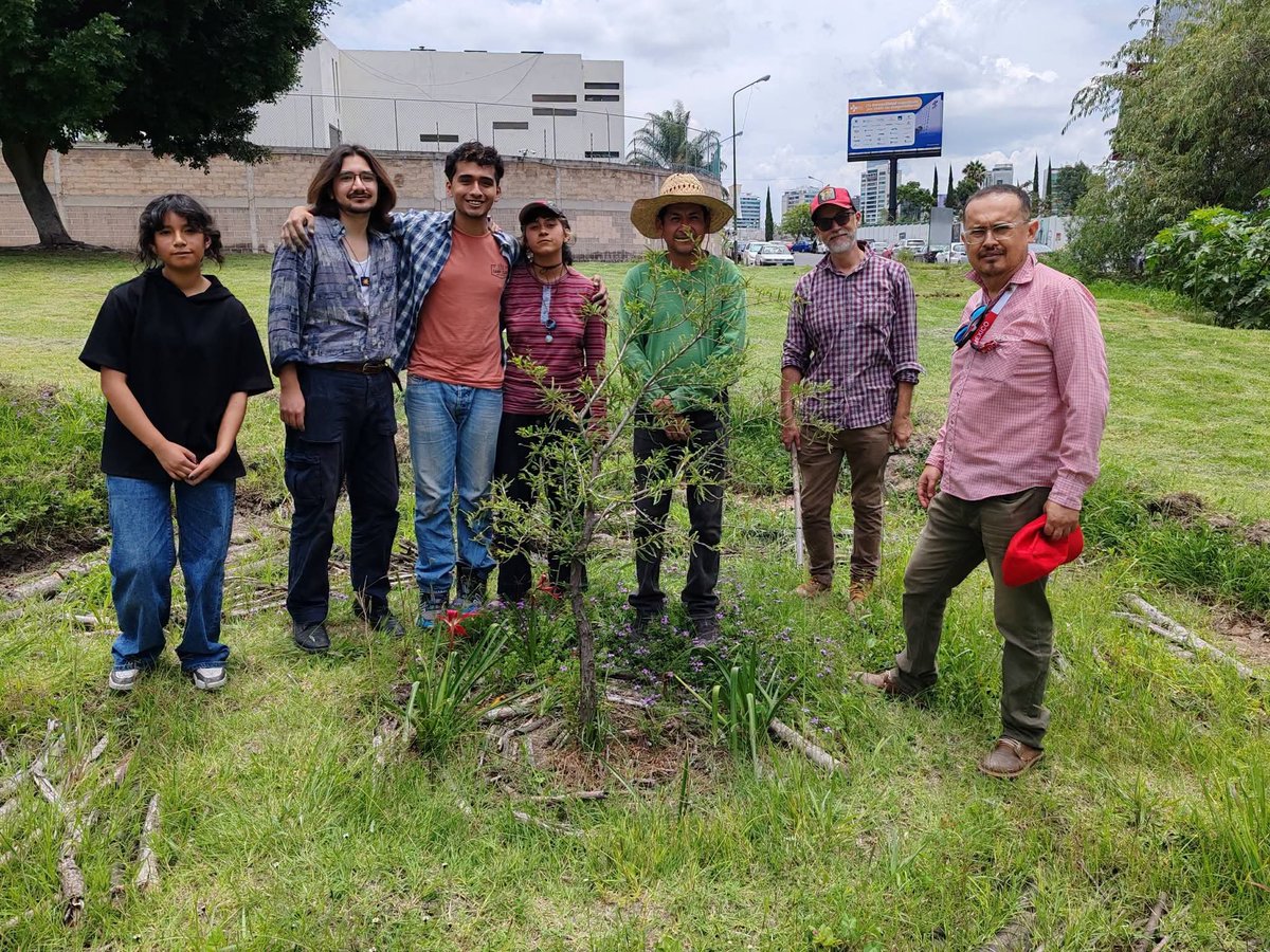 arboles_puebla's tweet photo. Plantación en torno al #AhuehuetedeCumulodeVirgo, en el marco del #DíaNacionalDelAhuehuete.
11 nuevos árboles y 15 plantas nativas para polinizadores.

¡Con estudiantes de Artes BUAP, Tlaltecoch Cuautlancingo y Huerta Calvariotitla quienes donaron palo blanco, hizache y mezquite https://t.co/OR6v2YfbT7