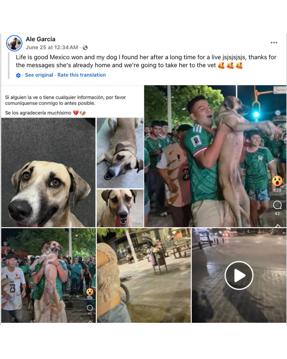 Complex's tweet photo. Missing dog found partying with Mexico fans after team’s World Cup win  

A missing dog named Gorda was reunited with her family after they spotted her in a Facebook video celebrating Mexico’s World Cup victory through the streets of Victoria, Tamaulipas. Gorda had been missing since May 24 before her owners recognized her in the viral clip. Using landmarks in the background of the video, they tracked down the celebration and found her safe, healthy, and apparently having the time of her life with Mexico fans.  

(🎥: TT/@carretoneando)