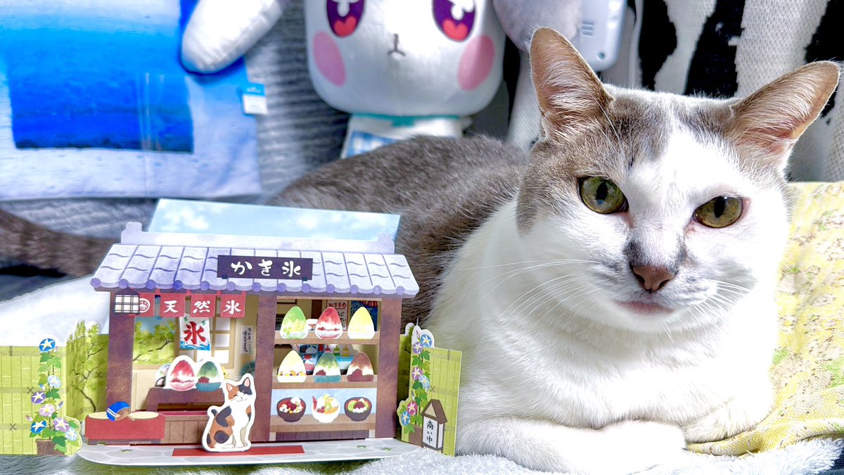 anuenue00's tweet photo. 猫好きに刺さった立体ポストカード🐱💌 

ホールマークの、夏のグリーティングカードやね🍧
猫さんにかき氷屋の中の貼り紙とか細かい日本の夏が詰まっとる🎐
揺れる氷旗を動画にキャプチャした📸

皆は好きなカードやハガキはありますか？😸

今日もお疲れ様✨
 #猫のいる暮らし𓏲𓎨 
 #ASMR ? https://t.co/UxeT7hs4ro
