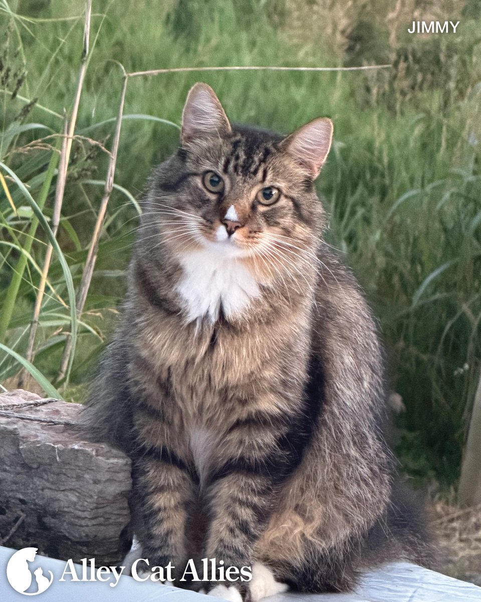alleycatallies tweet picture