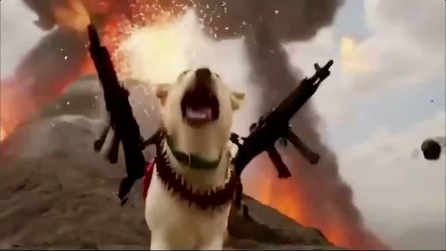 DogWifChopper's tweet photo. @onlyvoss BREAKING NEWS!

WHO GIVES A FUCK https://t.co/ryQIfQx80P