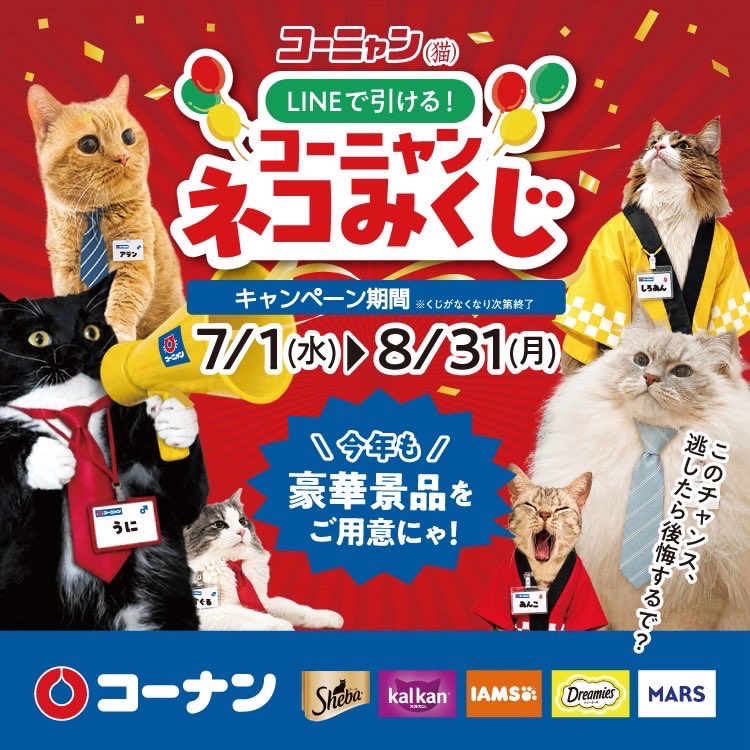 ennui_mbembe's tweet photo. 爆買いの予感。
#コーニャン https://t.co/JWWYlBoJzw