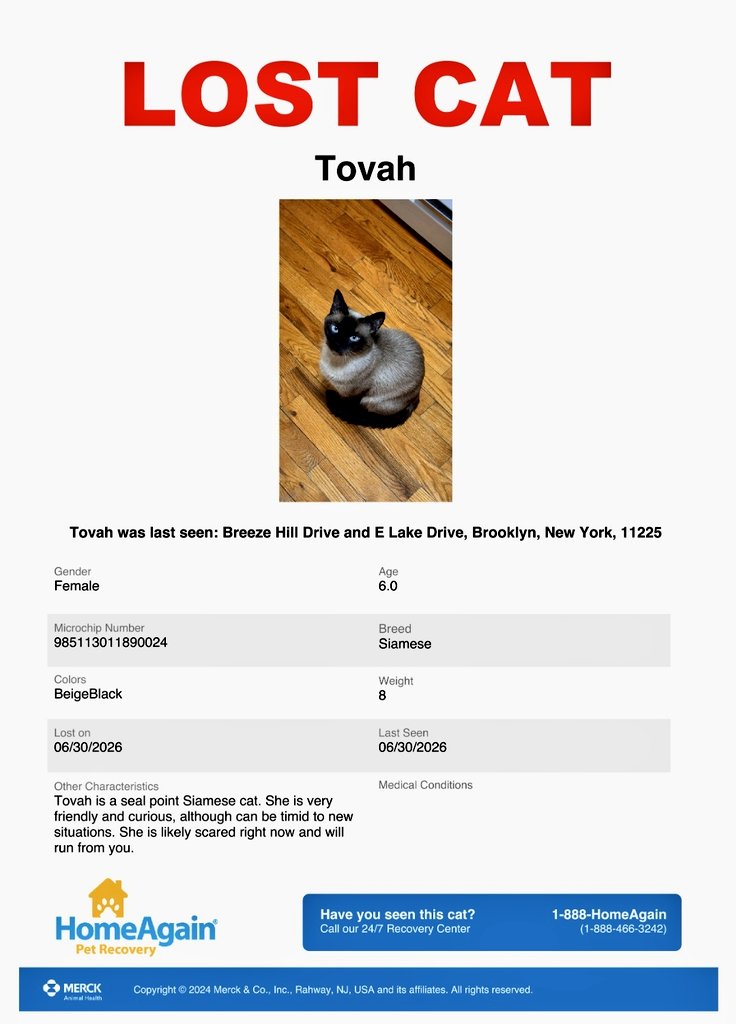 MeowMiya88's tweet photo. 📢🇺🇸🗽⏳️🚨😿💔🆘️Please RT to find Tovah #NYC #missingcat #lostcat #Brooklyn #CatsOfTwitter #CatsOfX @HAPetRescuer https://t.co/wuIKhMIVLu