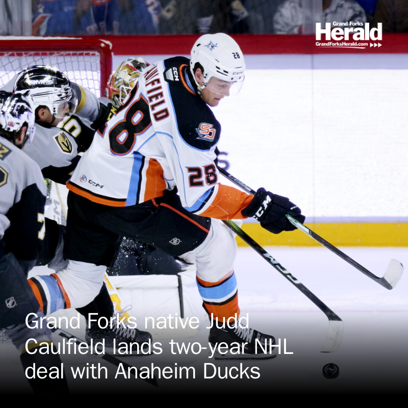 gfherald's tweet photo. Caulfield played prep hockey at Grand Forks Central and collegiately at UND. https://t.co/llzLTOJL0v https://t.co/M20iHwweOM