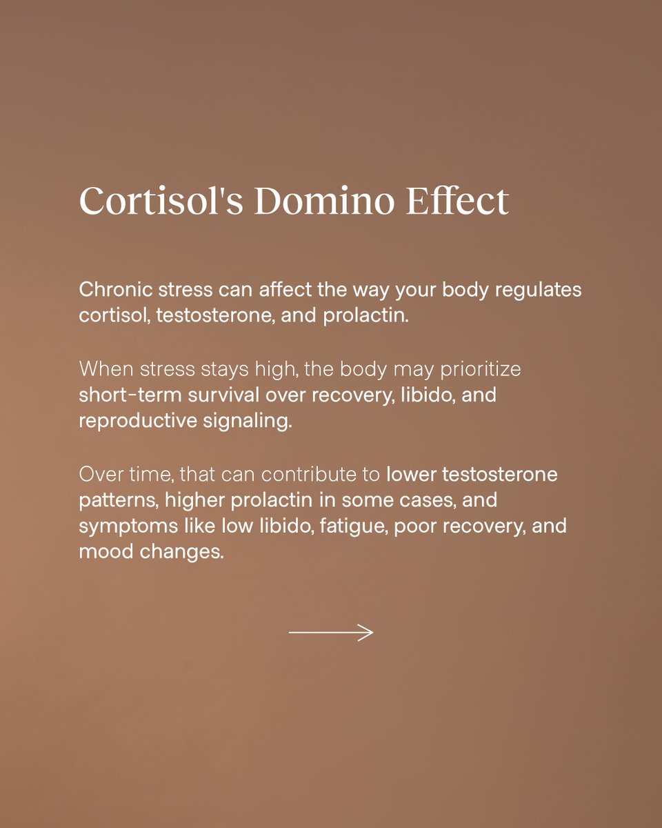 alignedmodern's tweet photo. When stress stays high, the body may prioritize short-term survival over recovery and reproductive signaling.  
 
That is why a hormone workup should not stop at one number. 
 
If your body feels like it is running in survival mode, your hormones may be part of the story. https://t.co/MZYcBnB0sq