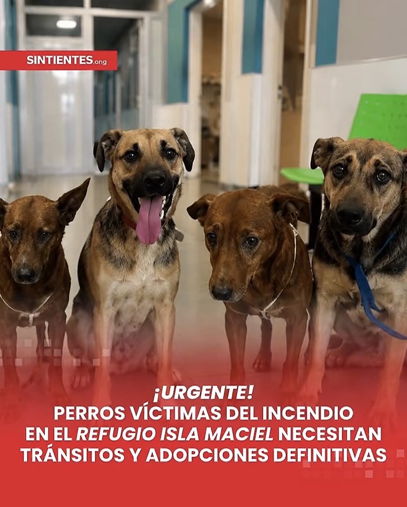 alipazrte's tweet photo. Ayuda https://t.co/k28QXpdCau