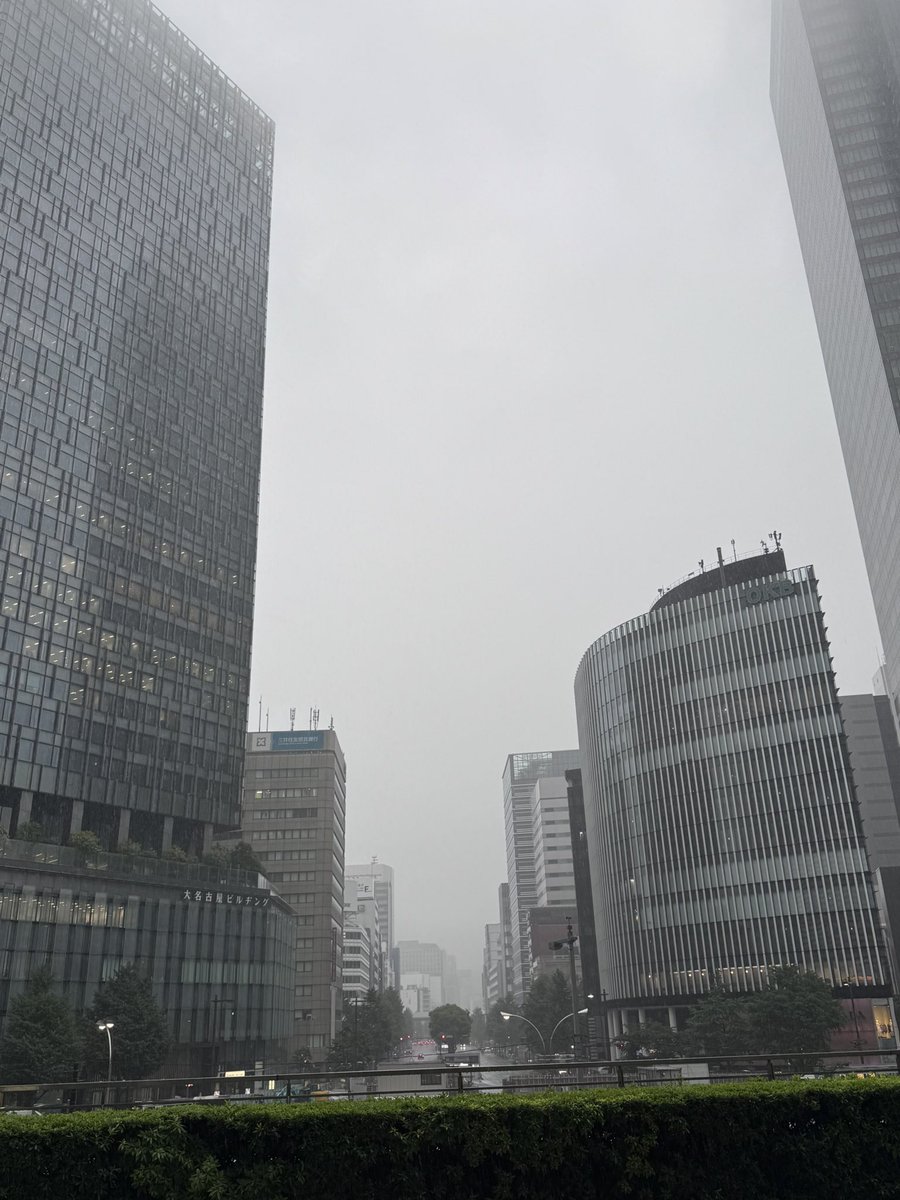 MaruzenPrinting's tweet photo. おはニャ🐈

本日は雨☔

写ルンですが20年ぶりに新製品を出たらしいニャ！

現像するまでどんな写真かわからないのはあれはあれで楽しかったニャ

木曜日は（シャッター）チャンスを逃さずに頑張りましょう🐾

#企業公式が毎朝地元の天気を言い合う
#企業公式相互フォロー
#ぐるぐる飛翔 https://t.co/XTZsgycFpe