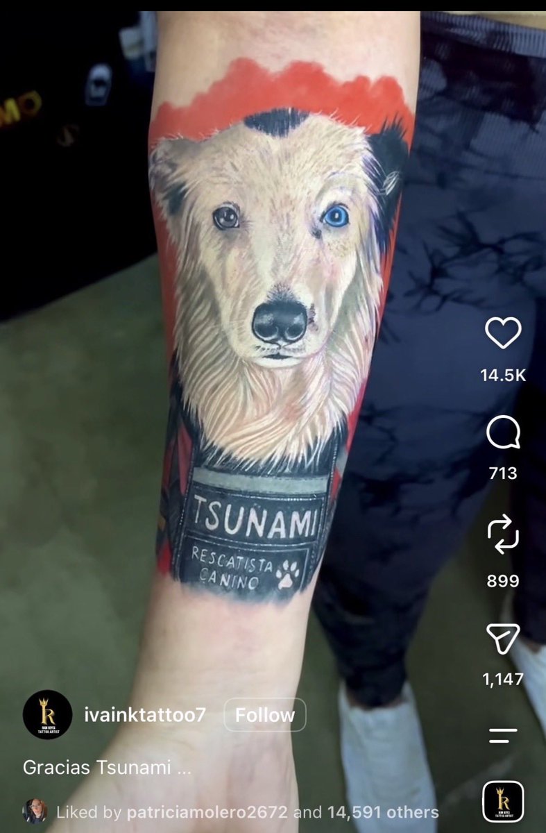 ZadamNFT's tweet photo. Citizens are literally getting tattoos of $Tsunami….. 100+ lives saved? I would imagine that’s the first of many.

We still have not hit mainstream US news coverage because this is still so early, but once we do we are one Elon or Trump tweet away from liftoff🚀🚀 https://t.co/J5PkC75iD4