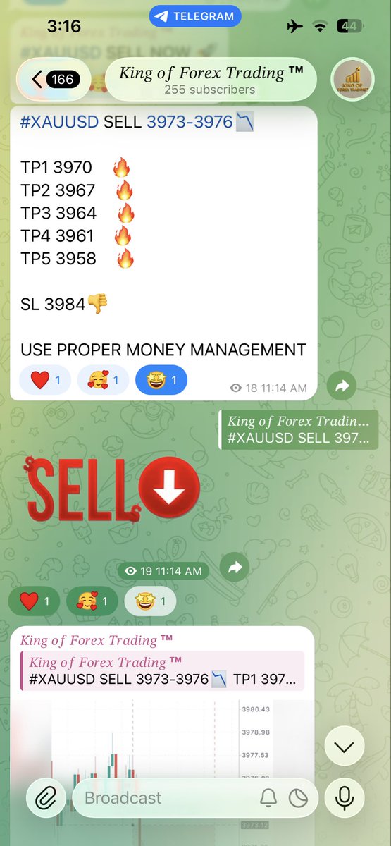 shaikhtweets01's tweet photo. don’t miss to join our telegram channel 👇👇👇👇

https://t.co/vMF7kCGNvH https://t.co/TqxdpMzrK8