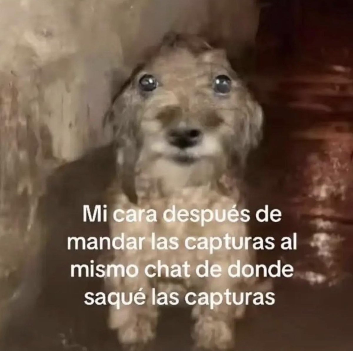 Guarromantico_'s tweet photo. Ah caray! https://t.co/S9Fa1KKJXj
