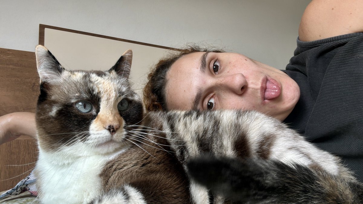 pfvrnebrenda's tweet photo. a gata anti suicídio que me deram quando tinha 16 anos funcionando até hoje 💋 https://t.co/JKQHGxH2VU