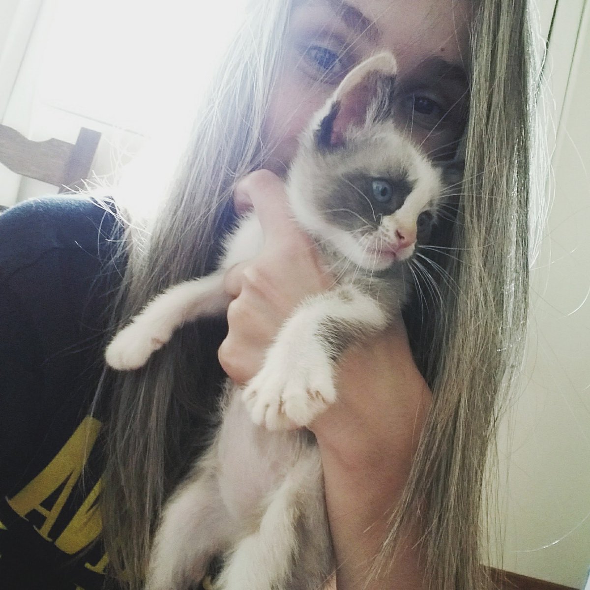 pfvrnebrenda's tweet photo. a gata anti suicídio que me deram quando tinha 16 anos funcionando até hoje 💋 https://t.co/JKQHGxH2VU
