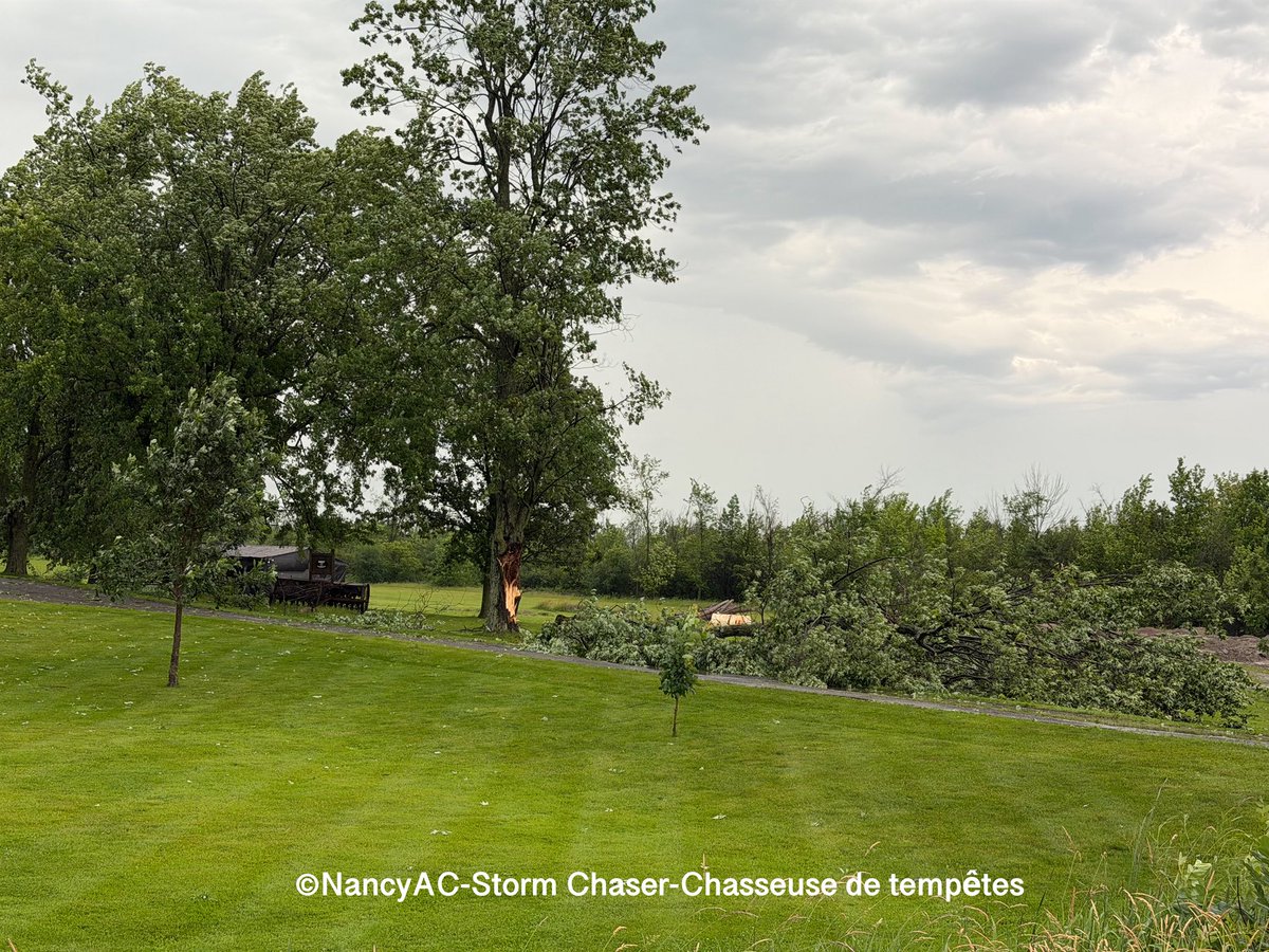 NancyAC_XCQ's tweet photo. ⛈️ Plusieurs dommages ont été signalés après le passage des orages de ce soir, vers 17 h 30.
Une microrafale descendante (microburst) est possiblement en cause dans le secteur de Vernon, sur la route 41, entre la 4e Rue et Lawrence Street. @westernuNTP #ontario https://t.co/AkA1pJ6avK