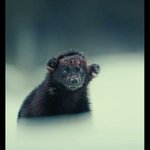 Photo by Travis Sanders (@Travis1Sanders)