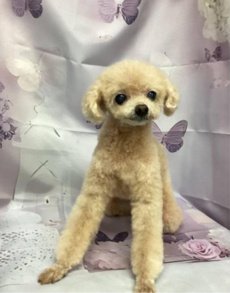 0405hiroshi's tweet photo. おはよございます

7月2日 木曜日

朝から雨です
最高気温24℃予報☔/☁
雨は昼過ぎまで降る予報です

本日も朝10時からオープン致します
足元の悪い中、皆様のご来店お待ちしてます

店舗情報⬇
https://t.co/5JyznFPyO6

#人形町理容室　#茅場町理容室　#中央区理容室 https://t.co/RyV0mQ9CHo