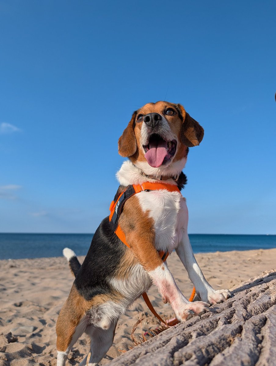 berkvens852's tweet photo. Nice day for a trip to the beach 🏖️ Happy Canada Day! 🍁🇨🇦 https://t.co/zjPlqbXTtF