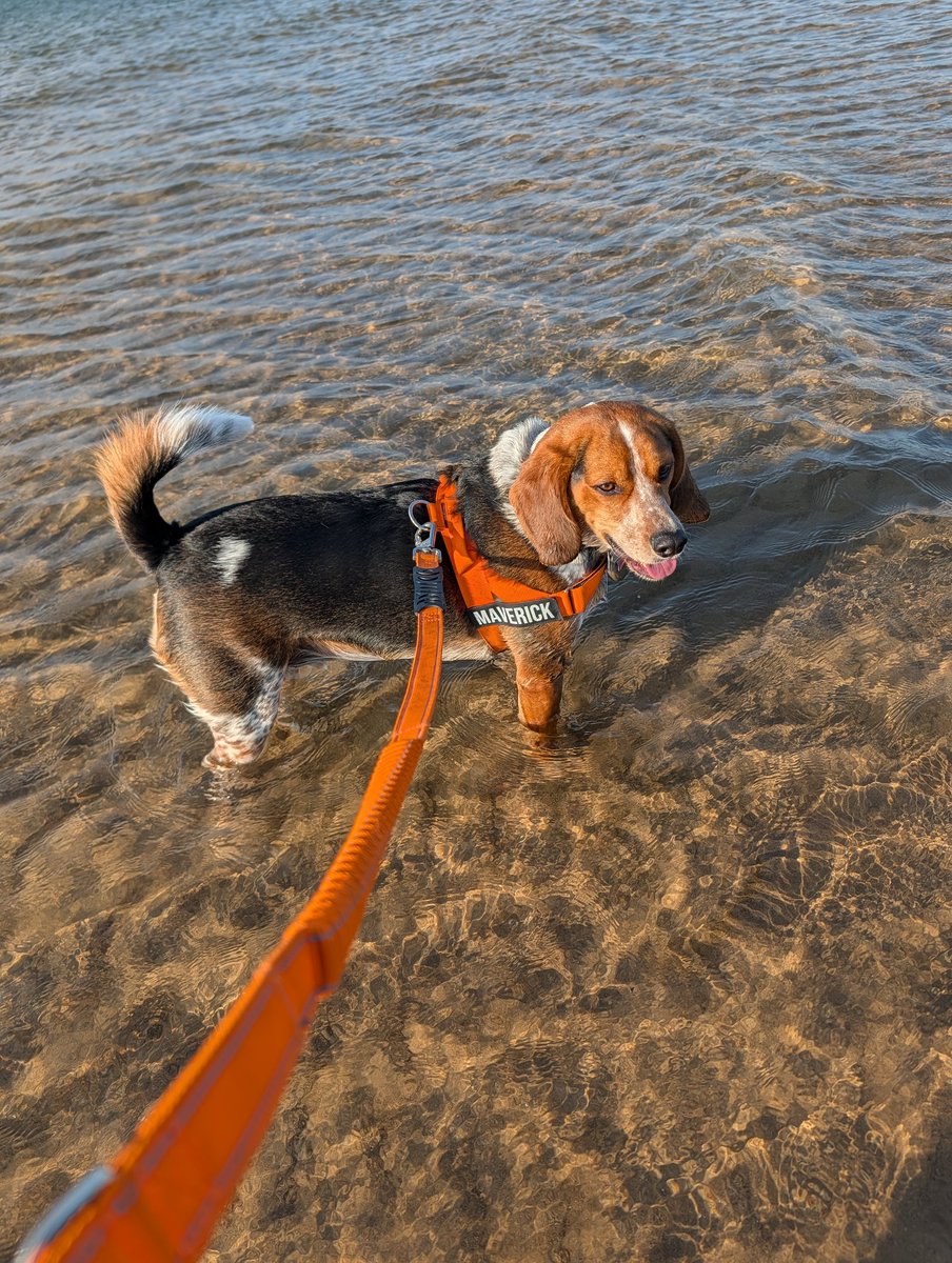 berkvens852's tweet photo. Nice day for a trip to the beach 🏖️ Happy Canada Day! 🍁🇨🇦 https://t.co/zjPlqbXTtF