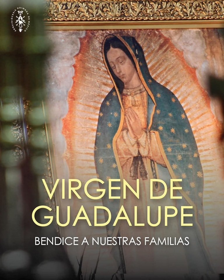 d_mhg's tweet photo. ¡Oh Santísima Virgen de Guadalupe, compadécete de nosotros!🙏🕯🇻🇪 
¡Ruega por nosotros!🙏🕯🇻🇪 https://t.co/QAJayZ7CTc