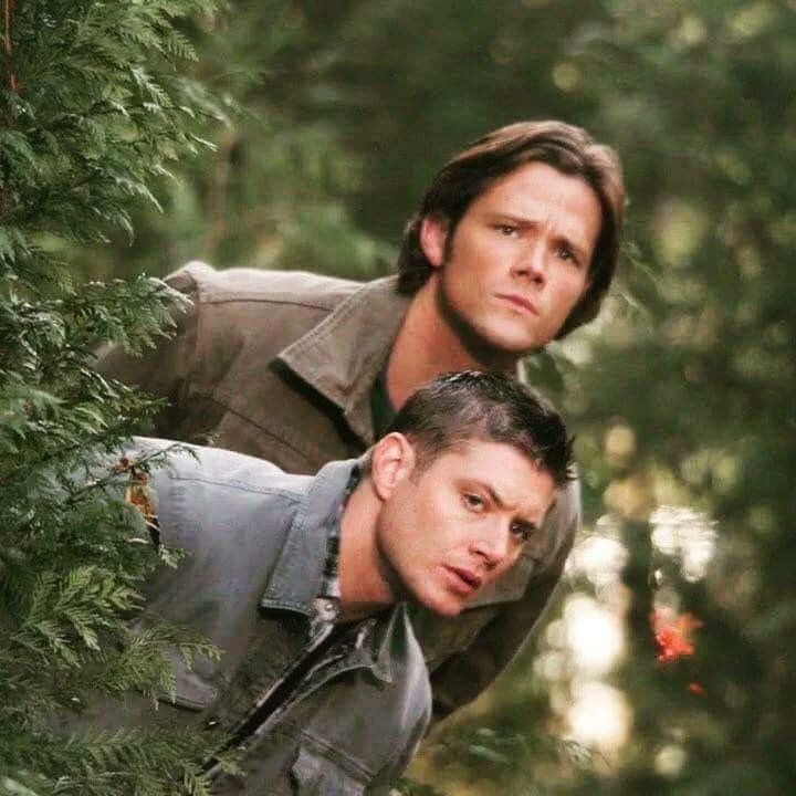 HuntingWinch5's tweet photo. She was trying to peek over her brother's shoulders. "Hey! What are we looking at??" She was curious https://t.co/qTHty9w7lT