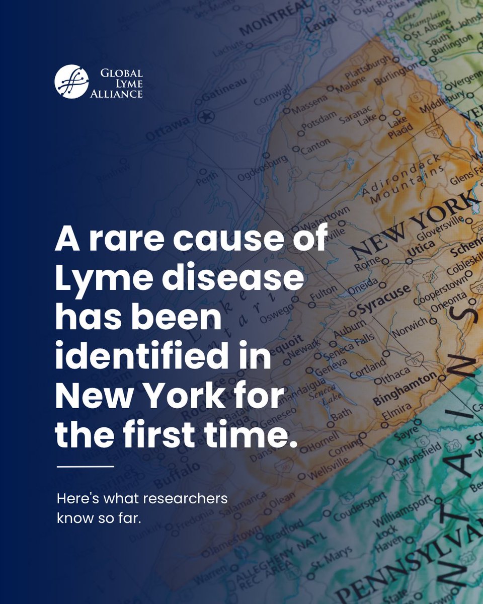 LymeAlliance tweet picture