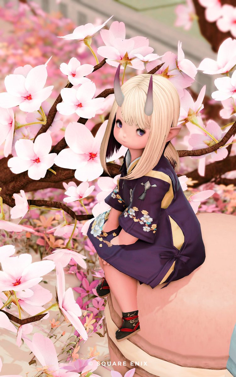 FF14_lalaroom's tweet photo. #ララフェル  #ららるーむ https://t.co/roinOkzCS3