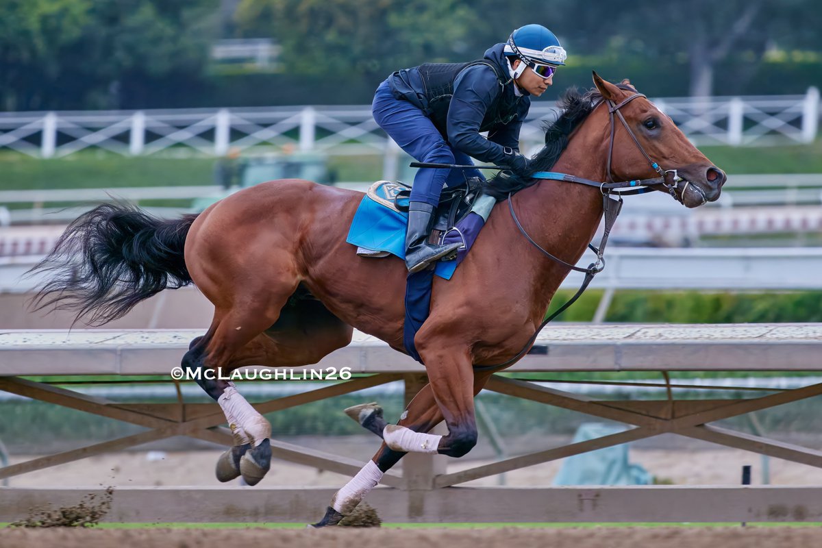 kimo16's tweet photo. Ala Sawab (Flightline out of Message) moved up to a half in 48.20 this morning under Skyler Whiteshield for trainer John Sadler and the connections at KAS Stables @santaanitapark @sadlerracing @2yovar @skyler__ws https://t.co/D0Tb1jZs2S
