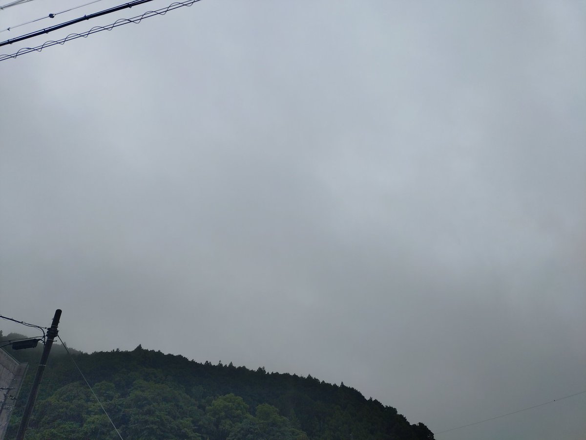 QPRiw1t9yzrCTip's tweet photo. おはようございます😊
7月2日（火）☂️
まだまだ梅雨が続きますが体調崩さない様にね。　本日もハリキッていきましょう🤗 https://t.co/5UWKqmzjbx