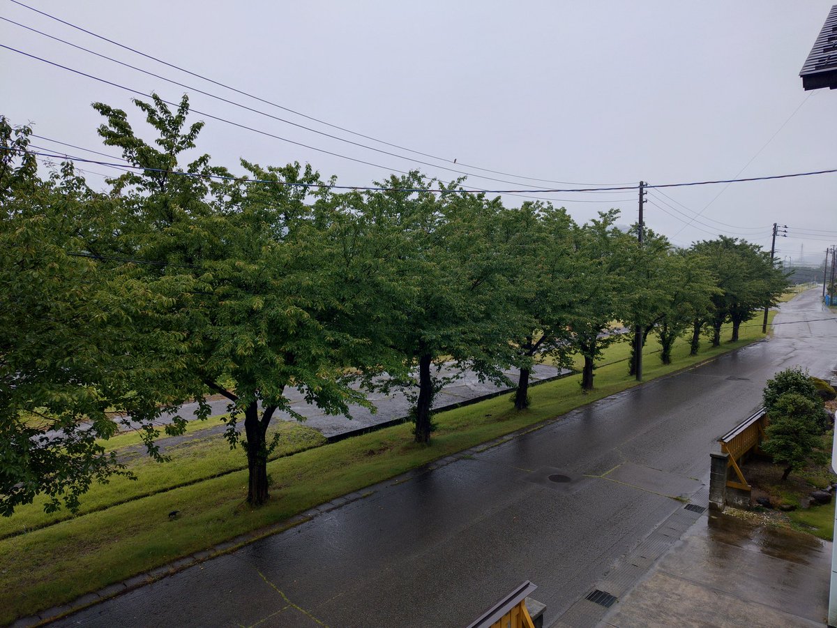 golfninjya's tweet photo. 朝〜♪
☔雨降ってます！
今日は☔雨時々☁曇りの予報です。😟
最高気温は昨日より低い25℃の予報です。😕 https://t.co/H0v5sWk4ZR