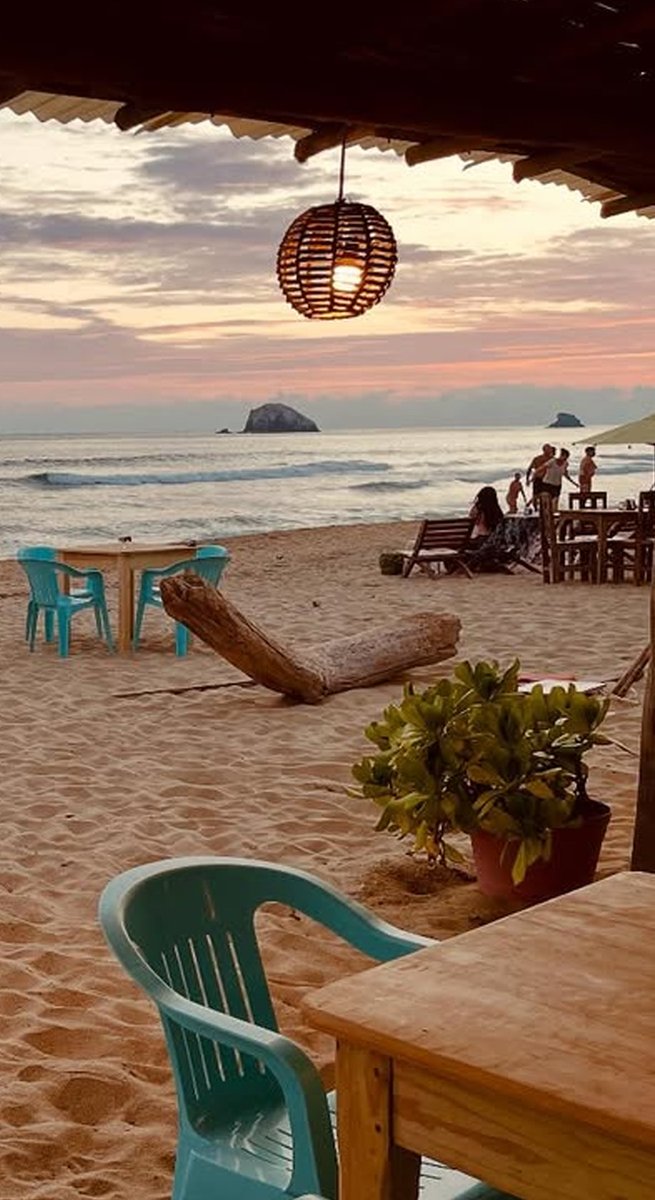 Visita Zipolite tweet media
