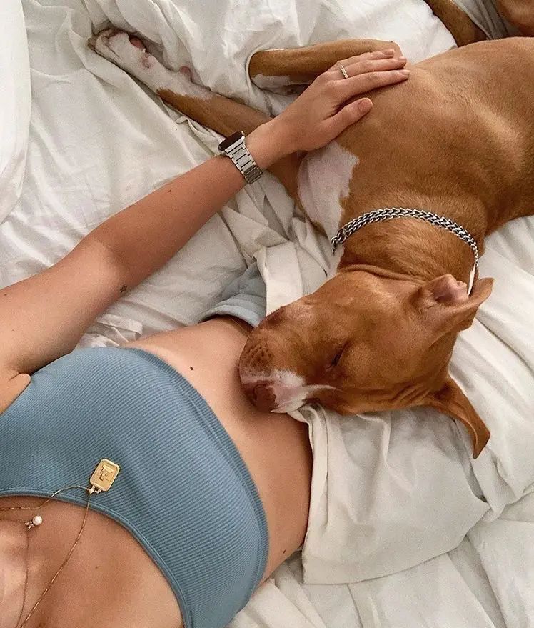 Dogknotting906's tweet photo. Embrace de sparkle daily, VIP enchanting moment, fresh content 🦮🐴 Zangi: 6155581821 Telegram: @KateKurayK9
Link on my bio zoo chat🐾 😈 🐶 On telegram @KateKurayK9 🐾 😈🐕 #dogknot #artofzoo #dogmomlife #zoo #UKdogsofttwitter #USdogsofttwitter https://t.co/bbnNhSYJLg