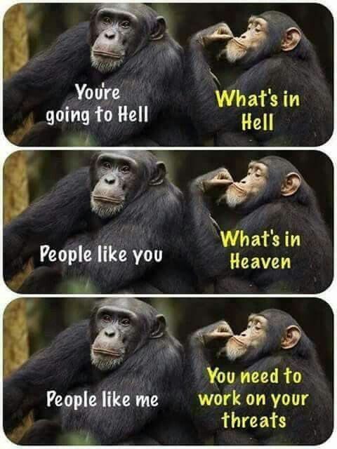 ThinkingAtheist's tweet photo. https://t.co/f8Be4yGAs8