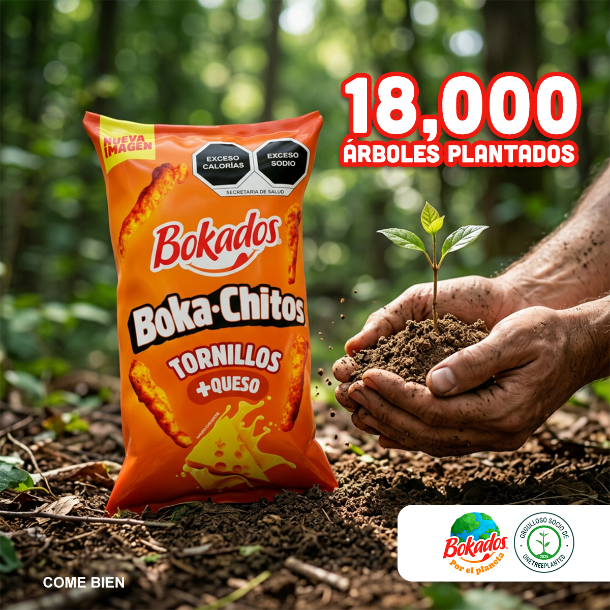 BokadosMX's tweet photo. Gracias a ti y a cada Bokados que disfrutas, seguimos sumando acciones por el medio ambiente.
Hoy celebramos la reforestación de +18,000 árboles junto a One Tree Planted, ayudando a crear un futuro más verde para todos.💚
#CámbialoTodoABokados #BokadosMx #BokadosPorElPlaneta https://t.co/ICMPkG5WdK