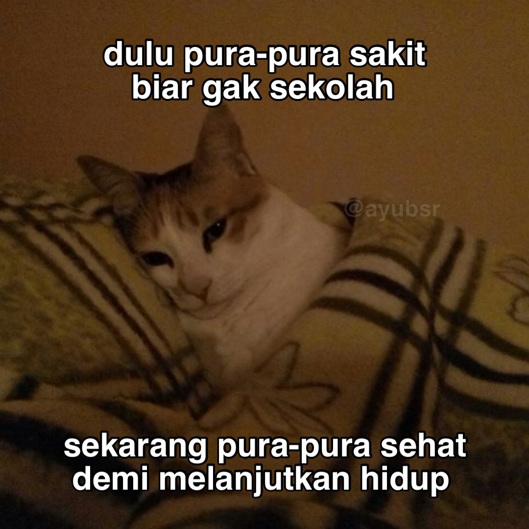 ayubsr's tweet photo. https://t.co/lfxkCtkliZ